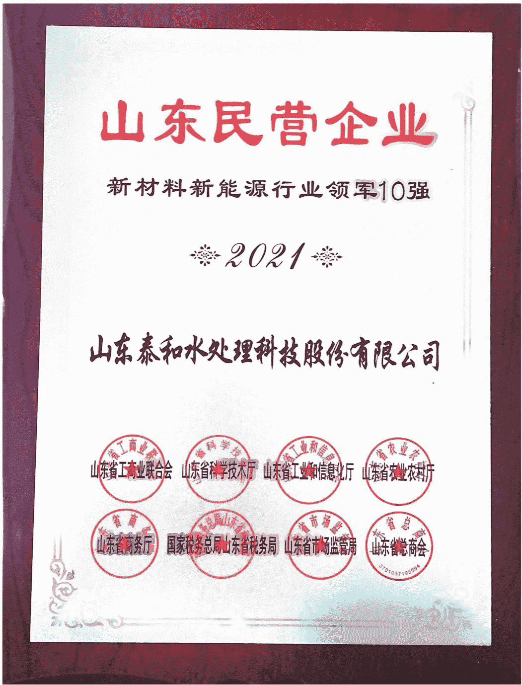 2021年山東民營(yíng)企業(yè)新材料新能源行業(yè)領(lǐng)軍10強(qiáng) 2021年山東民營(yíng)企業(yè)新材料新能源行業(yè)領(lǐng)軍10強(qiáng)